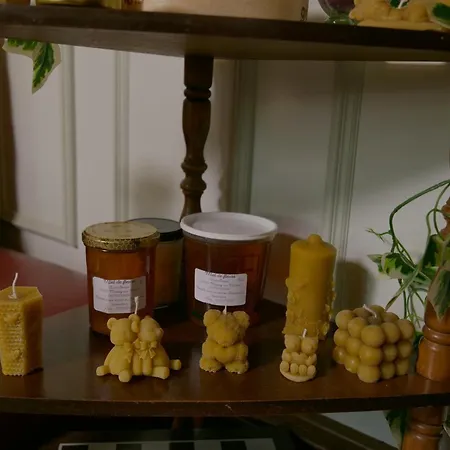 D'hotes Dans Maison De Caractere فندق مبيت وإفطار Mussey-sur-Marne