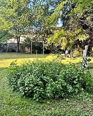 Bed & Breakfast D'hotes Dans Maison De Caractere Mussey-sur-Marne